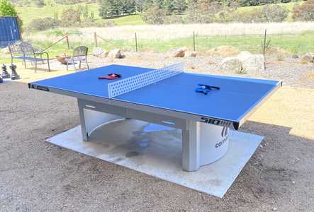 table tennis table